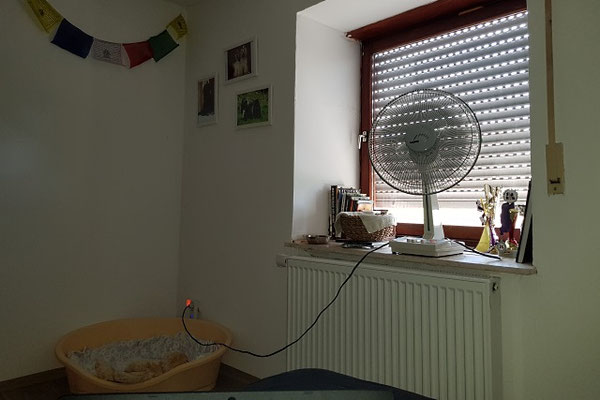 Und endlich wenigestens Bewegung in der Luft...
