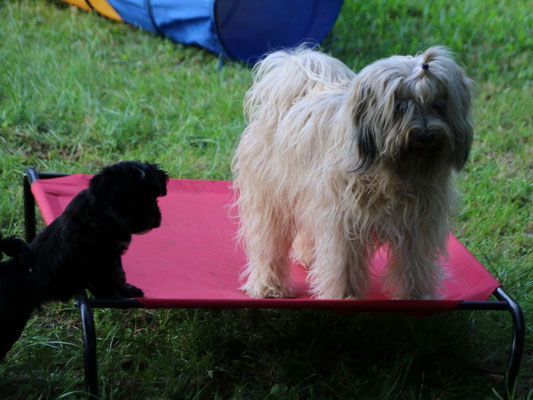 Fiona und Jinpa