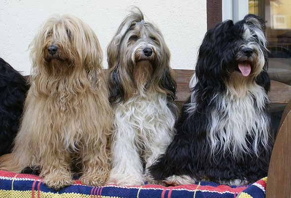 Lisha (rechts) mit Schwiegeroma Bya-ra und Schwiegermutter Milka in spe