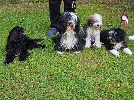 von links nach rechts trotz Hitze: Santi, Mama Lisha, Han-na und Yaro