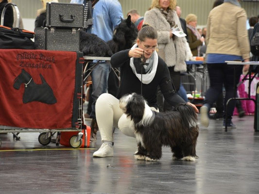 CACIB Nürnberg 2016 - Lisha