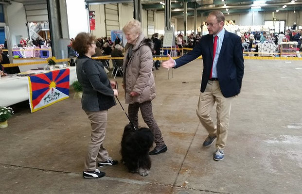 Yeshi in Lingen - Offene Klasse Rüden - 23.4.2016 - V1 - Gratulation