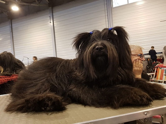 Tag 3: der schöne kleine Italiener: Puccini ♥