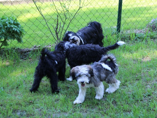 Lisha mit Santi, Yaro und Han-na