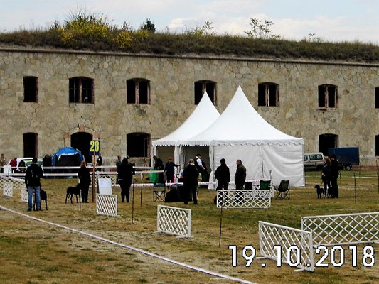 Ausstellungsgelände vor historischer Kullisse