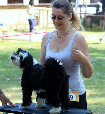Lishas erste Ausstellung - Groß-Gerau - Puppy Klasse - Juni 2015