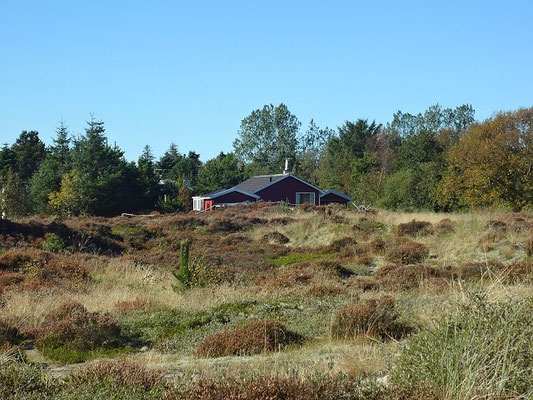 Dänemark 2015 - Unser kleines Häuschen in Napstjert an der Ostsee