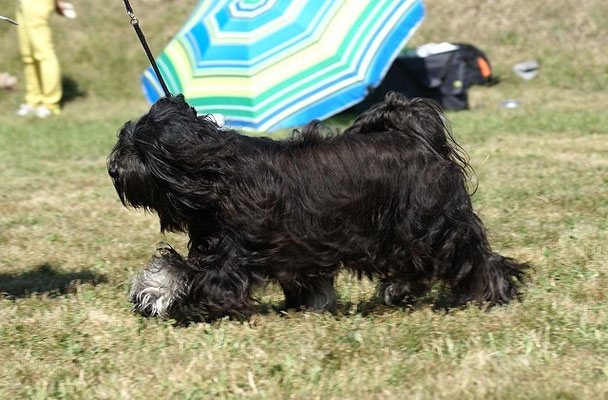 Yeshi beim Laufen