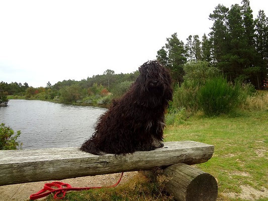 Dänemark 2015 - Yeshi