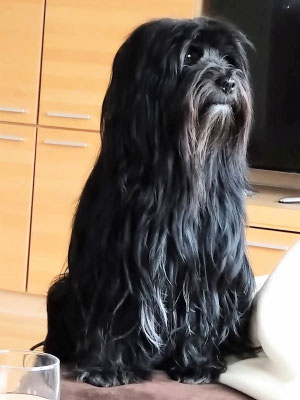 Sam
