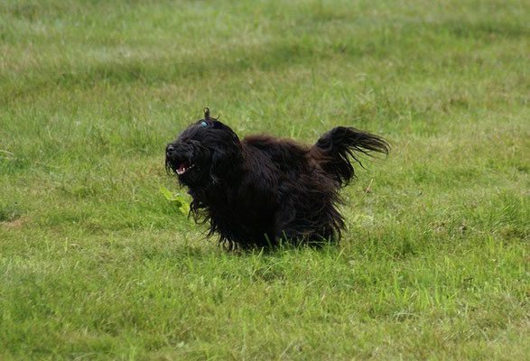 Turbo-Yeshi