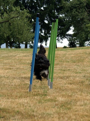 Gassenslalom. Super, Yeshi!