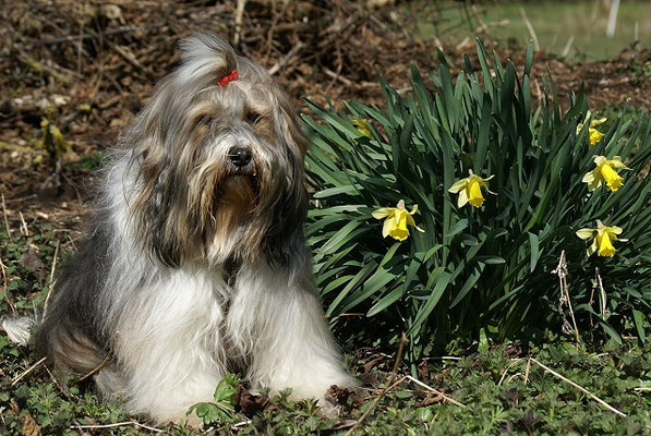 Milka im April 2015