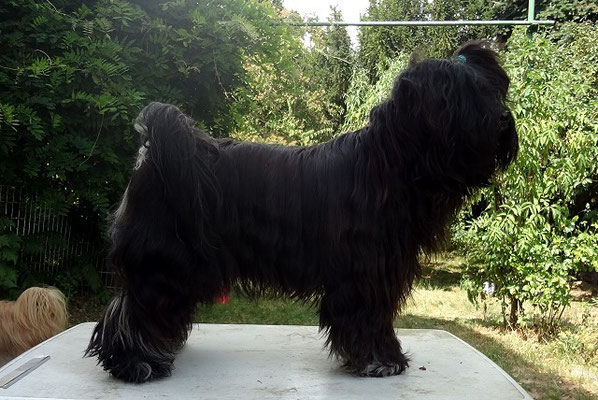 Yeshi in Pose beim Üben - 12.7.15