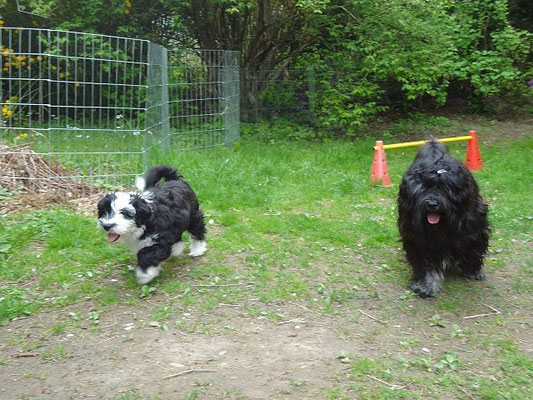 Lisha und Yeshi 