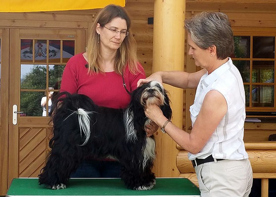 Lishas Körung in Breitenau am 6.8.16