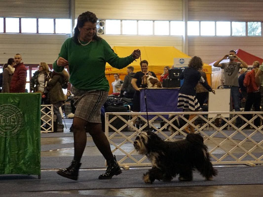Tag 2: Manuela mit Lisha im Ring...