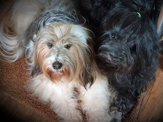 Milka und Yeshi das Dreamteam