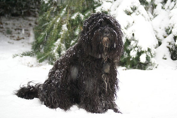 Kar-mi im Schnee - Januar 2017