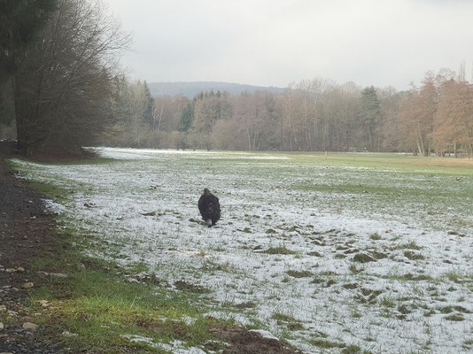 Yeshi freut sich über den letzten Schnee