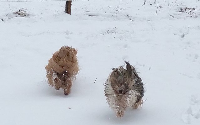 Spaß im Schnee!