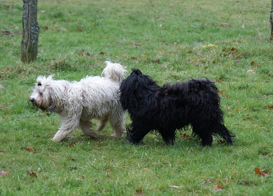 Fiona und Yeshi