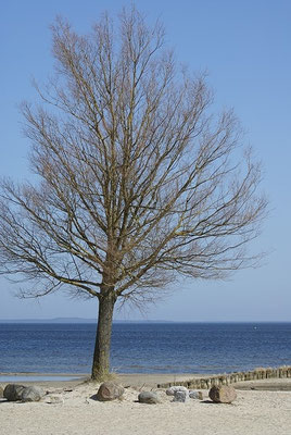 Am Strand von Ueckermünde