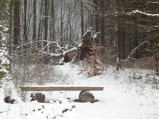 Ein Hauch von Winter im Februar 2016