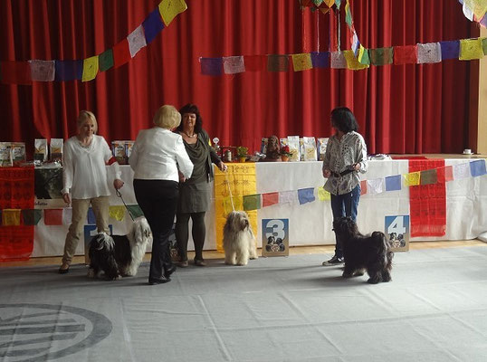 Grasellenbach 25.4.15 - Gratulation