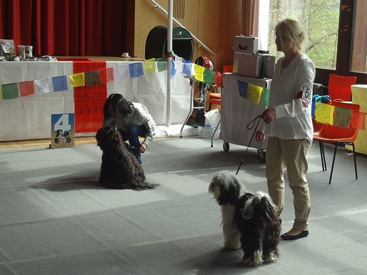 Grasellenbach 25.4.15 - Rechts der Sieger der Zwischenklasse Rüden