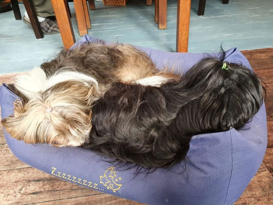 Milka und Sohnemann Yeshi