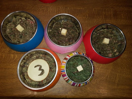Partyfutter für Han-nas Rudel, Käse lieben alle!