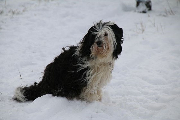 Annie
