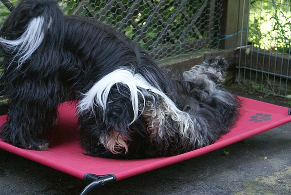 Yeshi und Lisha auf der "Liebesliege". Turteltauben! 