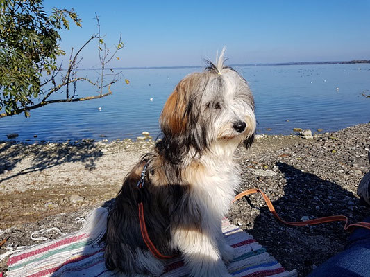 Pause am Chiemsee, Han-na war ausnahmsweise mal wach!