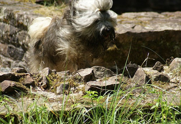 19.7.15 - Wanderung zur Villa Rustica - Flug-Mon-sha