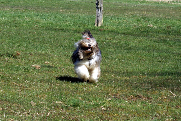 Milka im April 2015