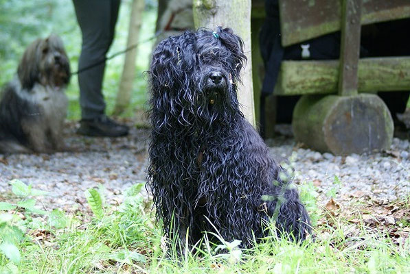 Yeshi nach dem Schlammbad