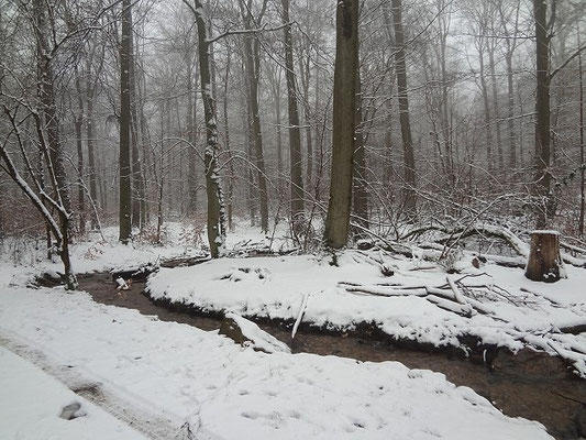 Ein Hauch von Winter im Februar 2016