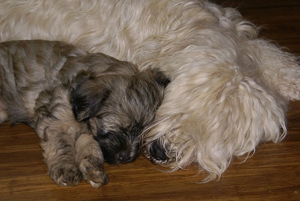 Kuscheln mit Mama