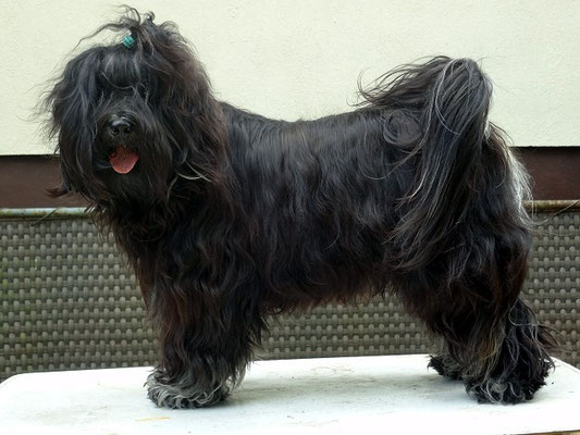 Yeshi in Pose beim Üben - 12.7.15