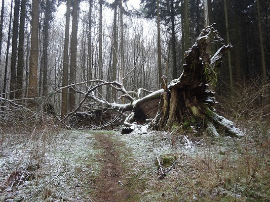 Puderzuckerlandschaft