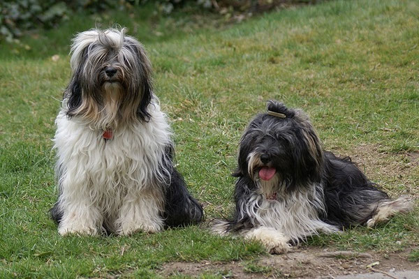 Geshe und Jita