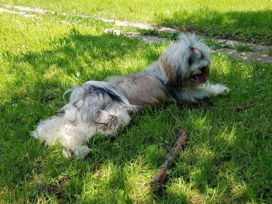 Han-na müde vom Toben und Buddeln