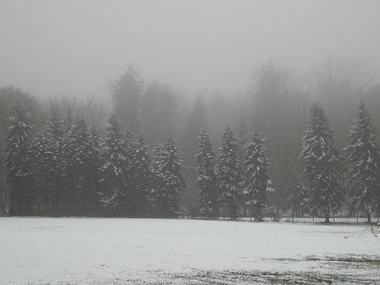 Ein Hauch von Winter im Februar 2016