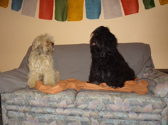 Fiona und Yeshi