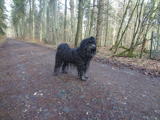 Yeshi - Wieder einmal im Bach geplantscht