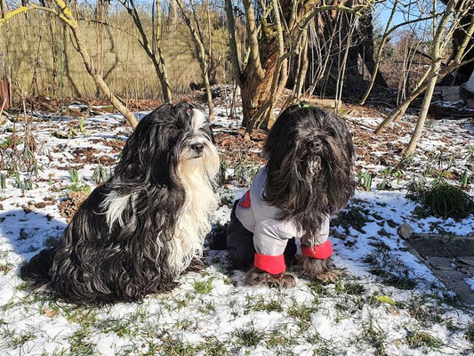Lisha besucht Yeshi