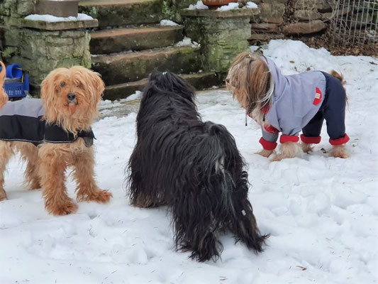Bya-ra, Yeshi und Milka