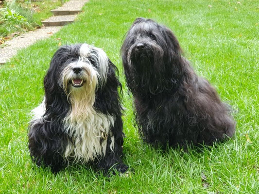 Lisha besucht Yeshi